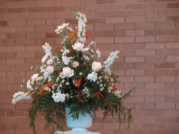 DSC03259.JPG